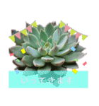 みんなの多肉植物lovely（個別スタンプ：13）