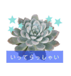 みんなの多肉植物lovely（個別スタンプ：14）