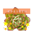 みんなの多肉植物lovely（個別スタンプ：16）