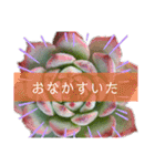 みんなの多肉植物lovely（個別スタンプ：20）