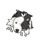✧ ＼ むすこたちーず /／ ✧（個別スタンプ：1）