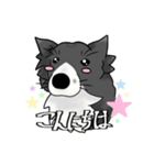 ✧ ＼ むすこたちーず /／ ✧（個別スタンプ：3）