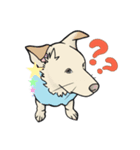 ✧ ＼ むすこたちーず /／ ✧（個別スタンプ：5）