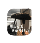 @MARIMO（個別スタンプ：15）