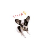 lua❤︎（個別スタンプ：3）