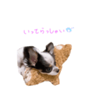 lua❤︎（個別スタンプ：5）