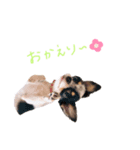 lua❤︎（個別スタンプ：6）