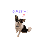 lua❤︎（個別スタンプ：7）