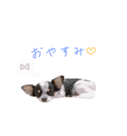 lua❤︎（個別スタンプ：8）