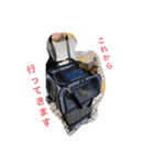 maroちゃんスタンプ①（個別スタンプ：4）