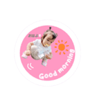 monachan.Stamp.（個別スタンプ：6）