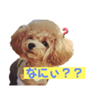 といぷーべるさん（個別スタンプ：6）
