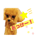 といぷーべるさん（個別スタンプ：8）
