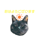 くろねこりょーま（個別スタンプ：5）