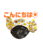くろねこりょーま（個別スタンプ：6）