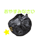 くろねこりょーま（個別スタンプ：8）