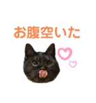 くろねこりょーま（個別スタンプ：13）
