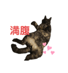 くろねこりょーま（個別スタンプ：14）