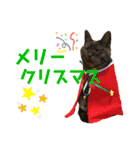 くろねこりょーま（個別スタンプ：20）