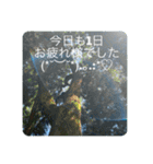 Happy...time（個別スタンプ：5）