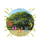 Happy...time（個別スタンプ：10）