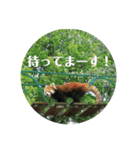 Happy...time（個別スタンプ：12）