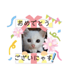 はるこな＋αスタンプ（個別スタンプ：12）