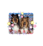 はるこな＋αスタンプ（個別スタンプ：15）