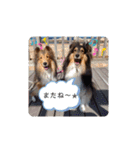 はるこな＋αスタンプ（個別スタンプ：18）