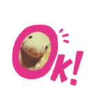 フーさんスタンプ3（個別スタンプ：2）