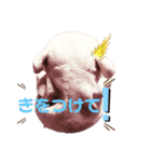 フーさんスタンプ3（個別スタンプ：4）