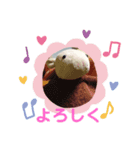フーさんスタンプ3（個別スタンプ：6）