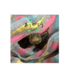 カメのピーちゃん（個別スタンプ：4）