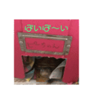 カメのピーちゃん（個別スタンプ：12）
