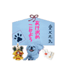 私、ペキニーズのシナモン（個別スタンプ：39）