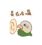 オカメインコと友たち（個別スタンプ：9）