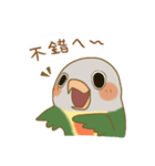 オカメインコと友たち（個別スタンプ：11）