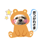 ひらやま犬2（個別スタンプ：4）