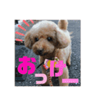 ひらやま犬2（個別スタンプ：7）