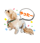 ひらやま犬2（個別スタンプ：17）