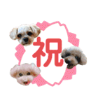 ひらやま犬2（個別スタンプ：18）