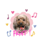 ひらやま犬2（個別スタンプ：19）