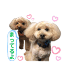 ひらやま犬2（個別スタンプ：23）