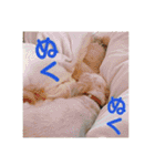 ひらやま犬2（個別スタンプ：32）
