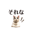むちむち、まろしゃん（個別スタンプ：10）