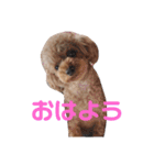 はなつみきなこ（個別スタンプ：1）