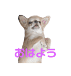 はなつみきなこ（個別スタンプ：3）