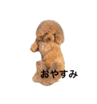 はなつみきなこ（個別スタンプ：4）