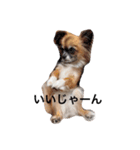 はなつみきなこ（個別スタンプ：10）
