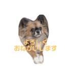 はなつみきなこ（個別スタンプ：11）